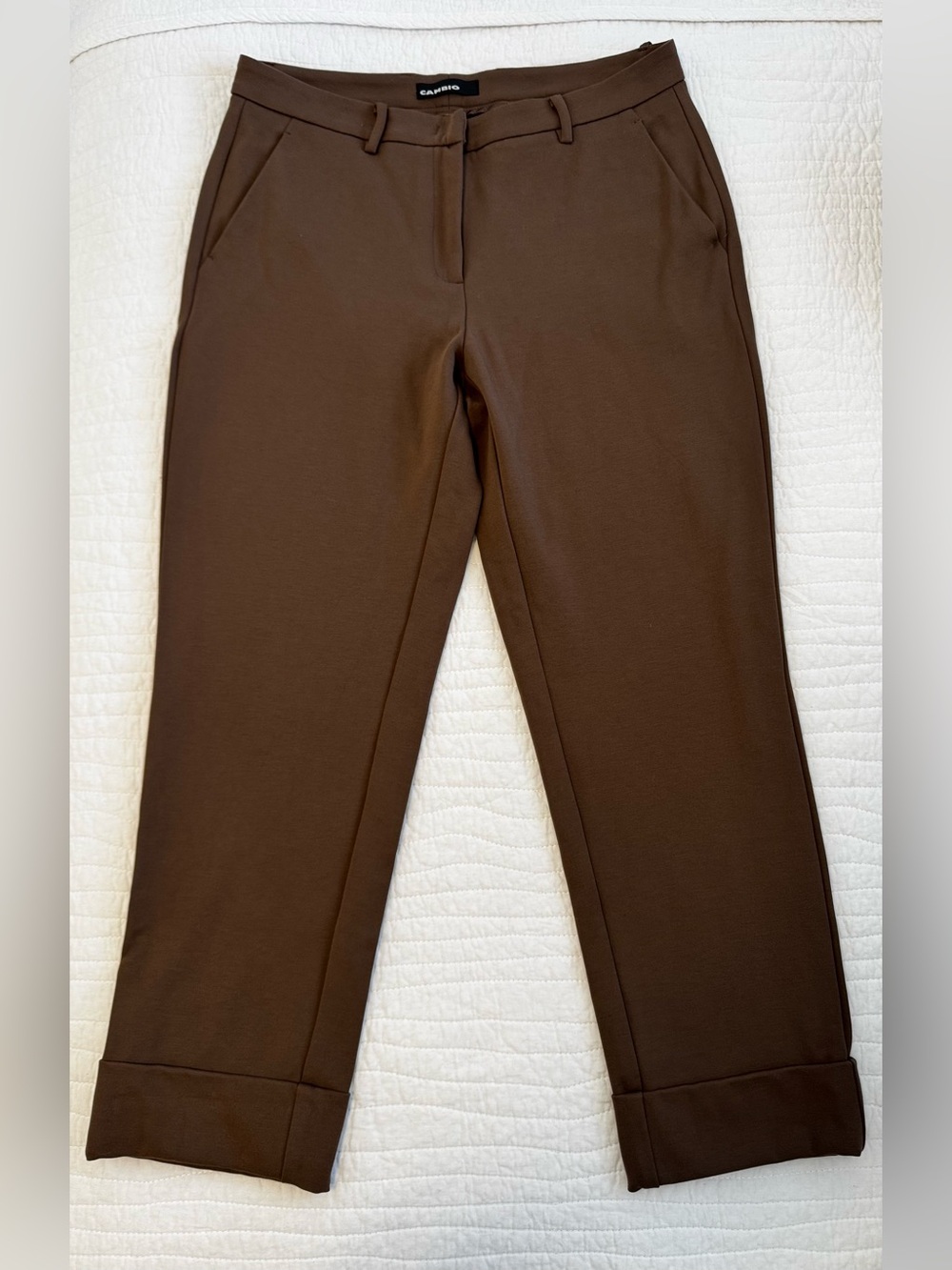Cambia Women’s Green Casual Dress pant